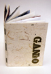 ganko5