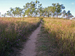P8200080