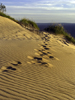 ahighdunes