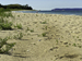 alkmichbeach04