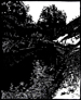 inducreek