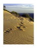 highdunes2