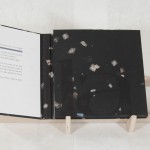 an artist's book by Tom Virgin