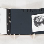 an artist's book by Tom Virgin